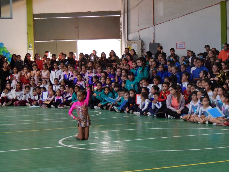 Colegio Theodor Heuss reunió a más de 500 participantes en 7° Campeonato de Gimnasia Artística