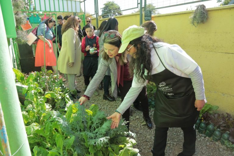 Colegio Luis Cruz Martínez cerró exitoso proyecto FPA de “Huertos Bio-Diversos”